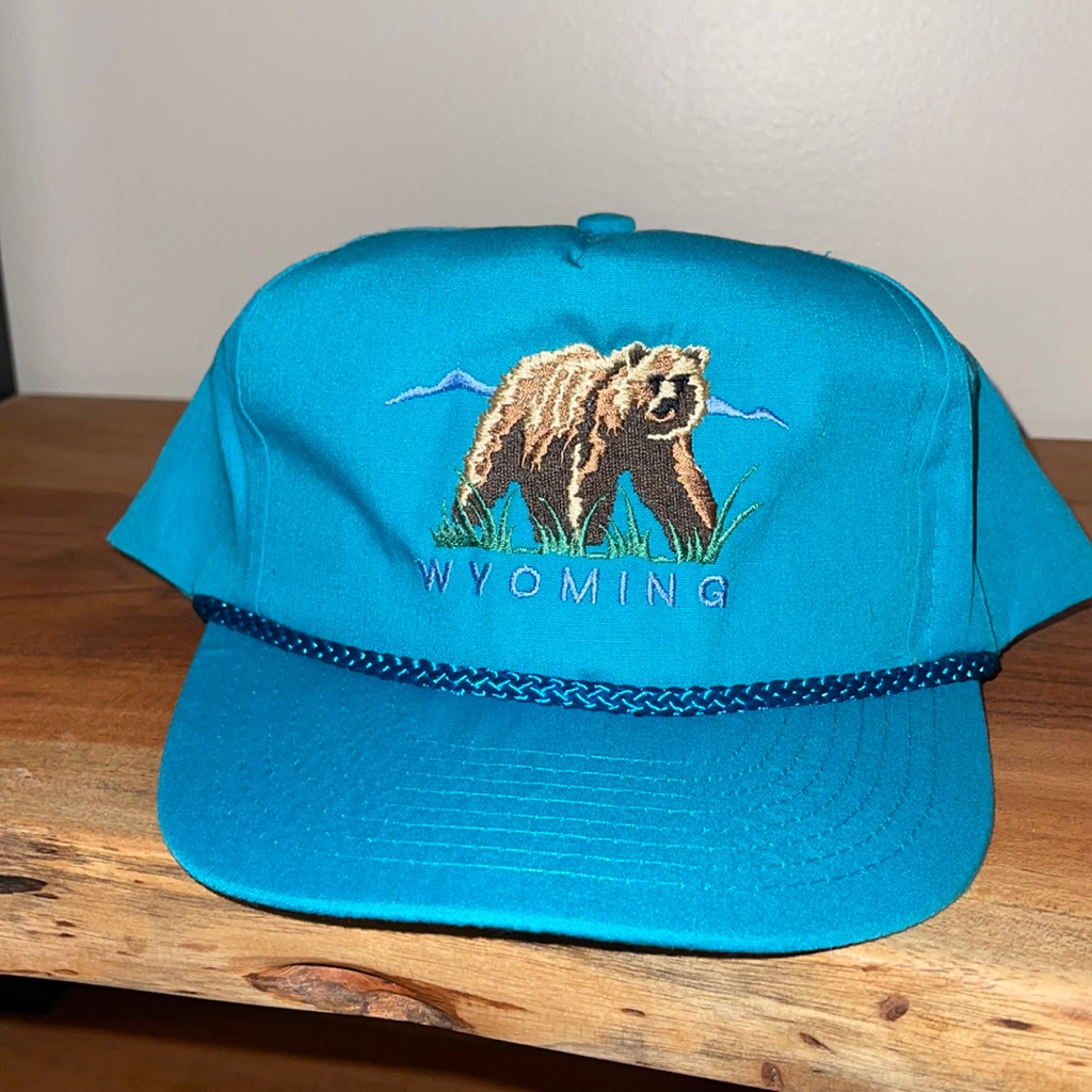 Rare Vintage 1970s Wyoming Teal Bear Trucker Hat